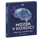 Mozek v kondici