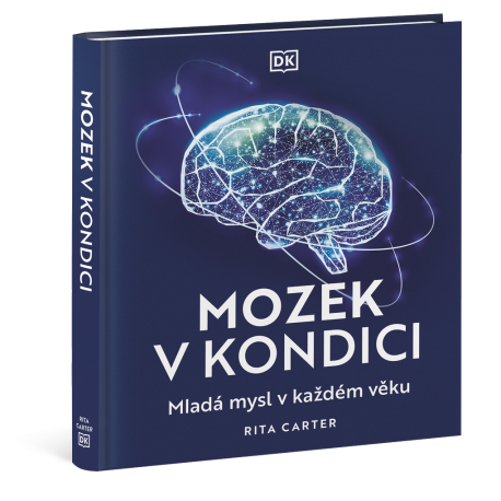 Mozek v kondici